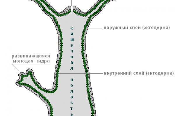 Кракен сайт что будет если зайти